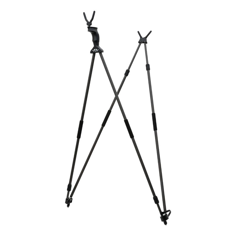 BWS 80407305 BLA Zielstock gesamt offen