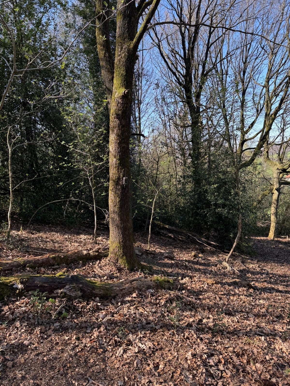 c16bcc12 bbfb 4f02 bda3 2db8a512e13a