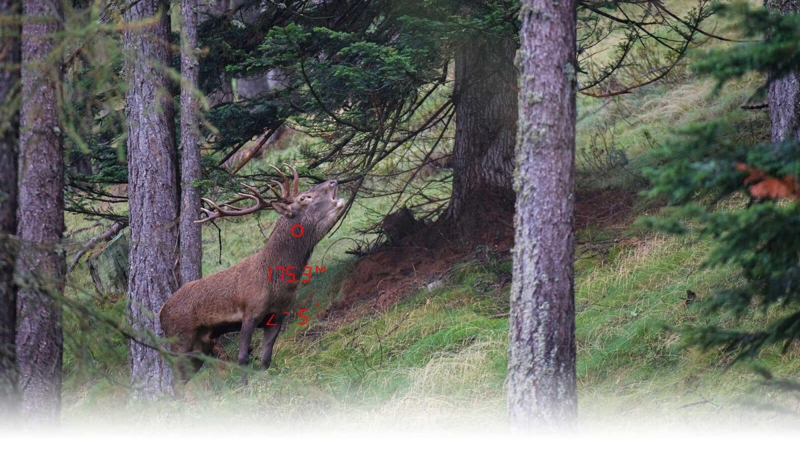 Intro Rangefinder GPO