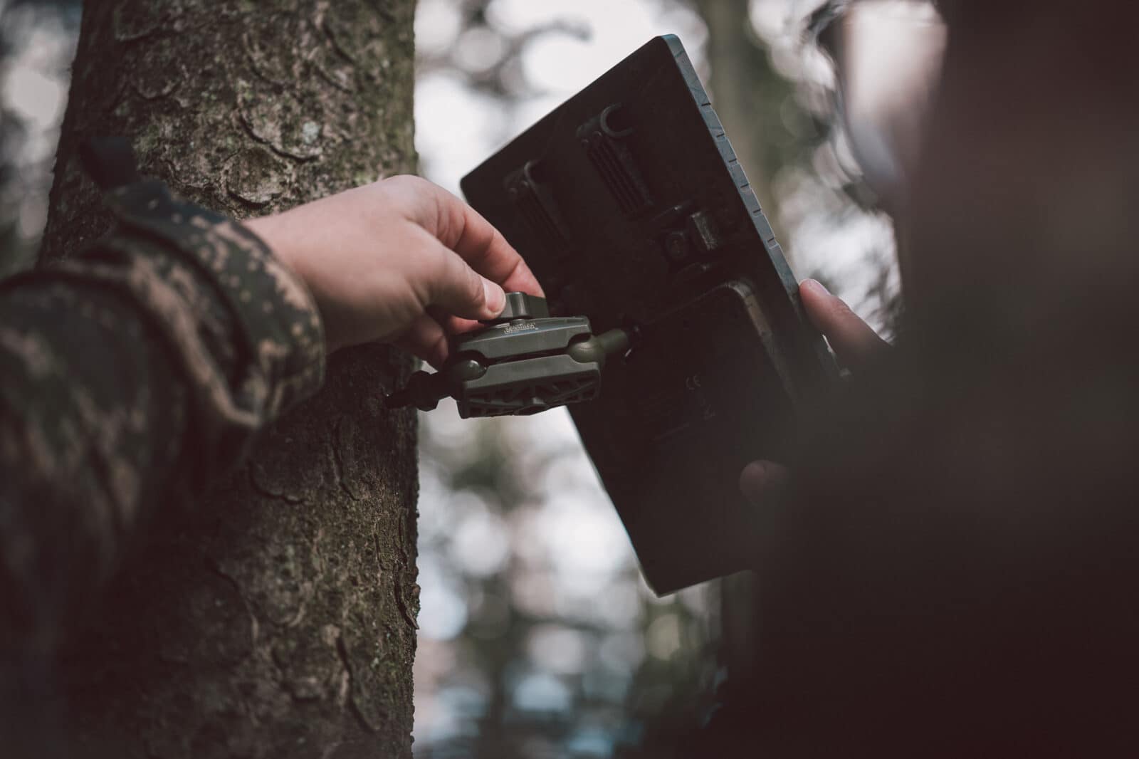 96dpi Seissiger WWW CHRISTOF WOLF COM 0354 96dpi Seissiger WWW CHRISTOF WOLF COM 0354